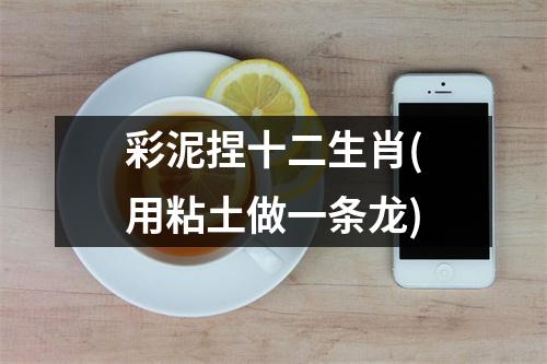 彩泥捏十二生肖(用粘土做一条龙)