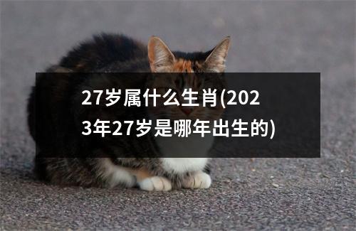 27岁属什么生肖(2023年27岁是哪年出生的)