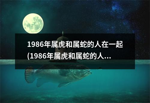 1986年属虎和属蛇的人在一起(1986年属虎和属蛇的人在一起生什么属相的孩子好)