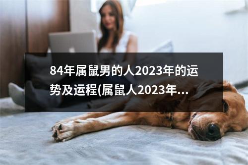 84年属鼠男的人2023年的运势及运程(属鼠人2023年正缘桃花)