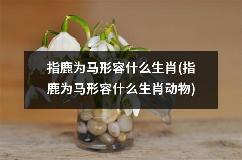 指鹿为马形容什么生肖(指鹿为马形容什么生肖动物)