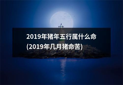2019年猪年五行属什么命(2019年几月猪命苦)