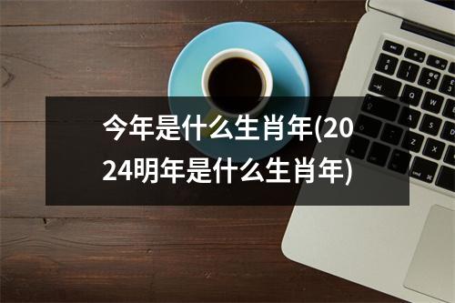 今年是什么生肖年(2024明年是什么生肖年)