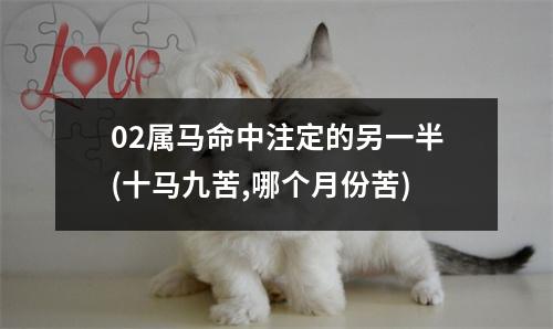 02属马命中注定的另一半(十马九苦,哪个月份苦)