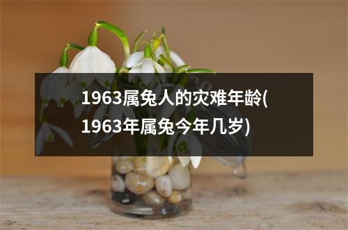 1963属兔人的灾难年龄(1963年属兔今年几岁)