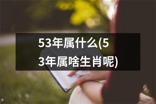 53年属什么(53年属啥生肖呢)