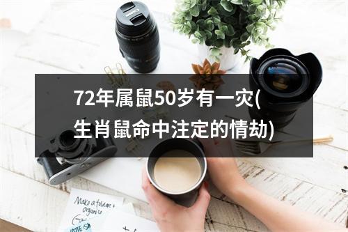 72年属鼠50岁有一灾(生肖鼠命中注定的情劫)