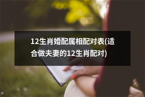 12生肖婚配属相配对表(适合做夫妻的12生肖配对)