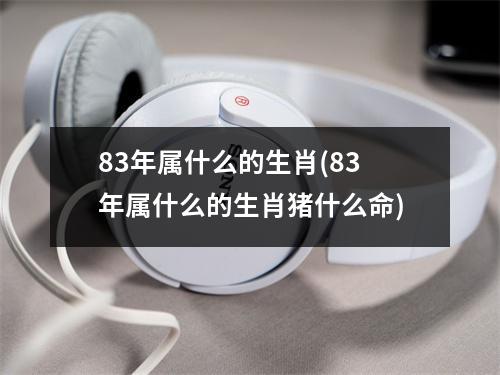 83年属什么的生肖(83年属什么的生肖猪什么命)