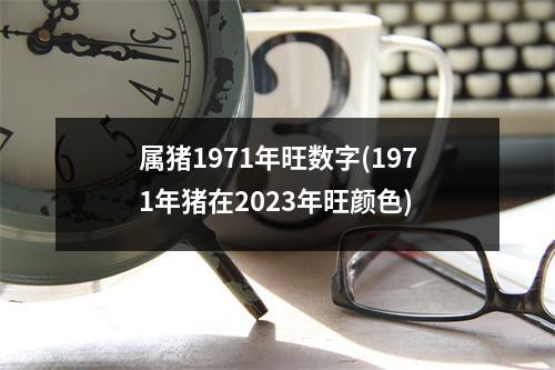 属猪1971年旺数字(1971年猪在2023年旺颜色)