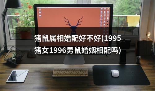 猪鼠属相婚配好不好(1995猪女1996男鼠婚姻相配吗)