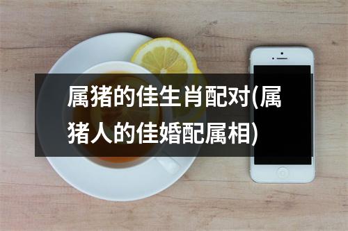 属猪的佳生肖配对(属猪人的佳婚配属相)