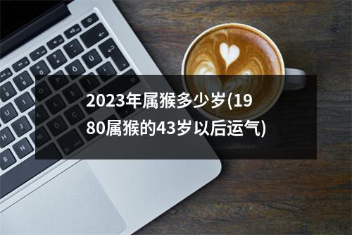 2023年属猴多少岁(1980属猴的43岁以后运气)