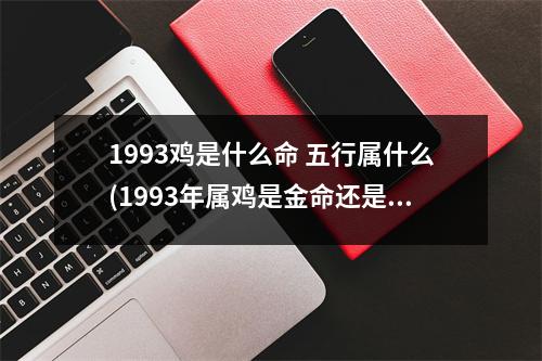 1993鸡是什么命 五行属什么(1993年属鸡是金命还是水命)