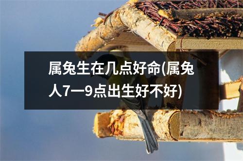 属兔生在几点好命(属兔人7一9点出生好不好)