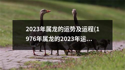 2023年属龙的运势及运程(1976年属龙的2023年运程)
