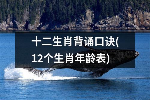 十二生肖背诵口诀(12个生肖年龄表)