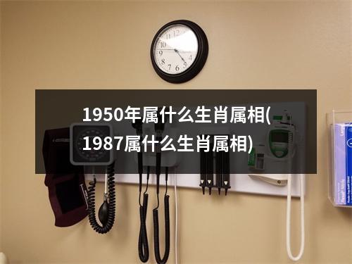 1950年属什么生肖属相(1987属什么生肖属相)