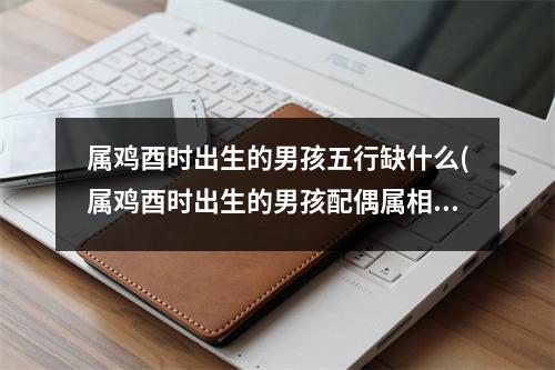 属鸡酉时出生的男孩五行缺什么(属鸡酉时出生的男孩配偶属相)
