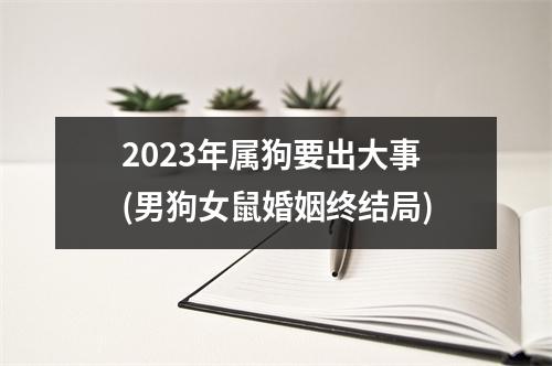 2023年属狗要出大事(男狗女鼠婚姻终结局)