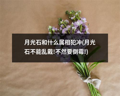 月光石和什么属相犯冲(月光石不能乱戴!不然要倒霉!)