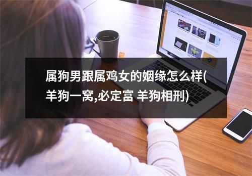 属狗男跟属鸡女的姻缘怎么样(羊狗一窝,必定富 羊狗相刑)