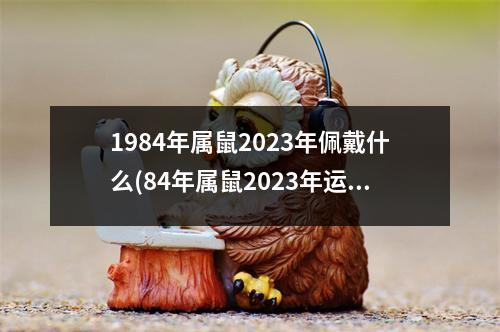 1984年属鼠2023年佩戴什么(84年属鼠2023年运势及运程详解)