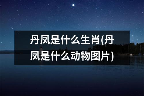 丹凤是什么生肖(丹凤是什么动物图片)