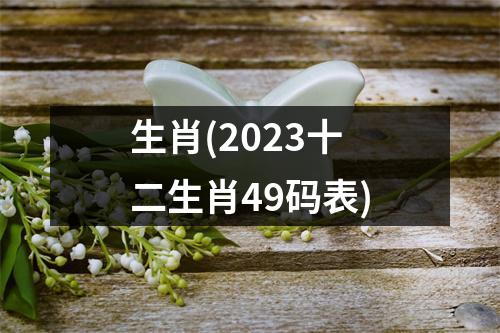 生肖(2023十二生肖49码表)