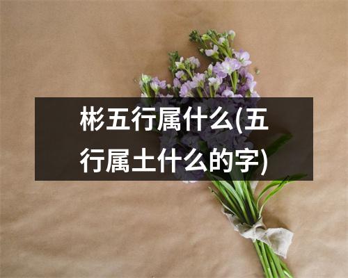 彬五行属什么(五行属土什么的字)