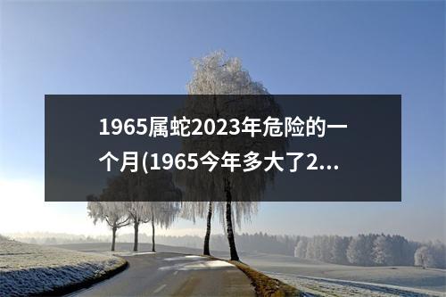 1965属蛇2023年危险的一个月(1965今年多大了2023)