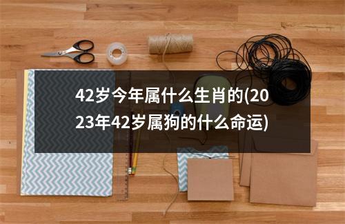 42岁今年属什么生肖的(2023年42岁属狗的什么命运)