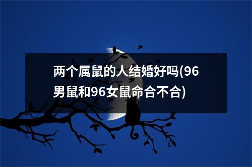两个属鼠的人结婚好吗(96男鼠和96女鼠命合不合)