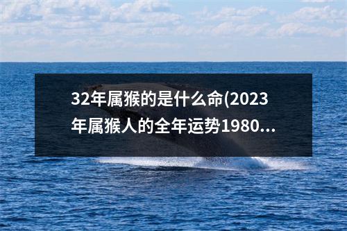 32年属猴的是什么命(2023年属猴人的全年运势1980出生)