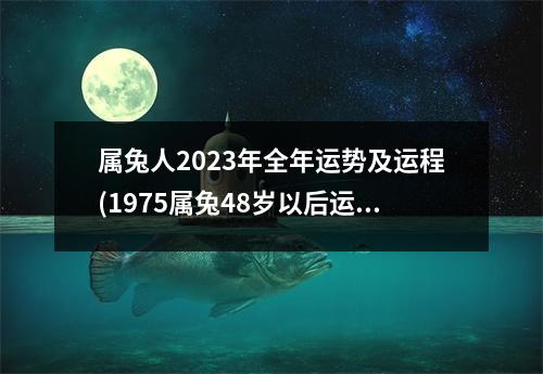 属兔人2023年全年运势及运程(1975属兔48岁以后运气如何)
