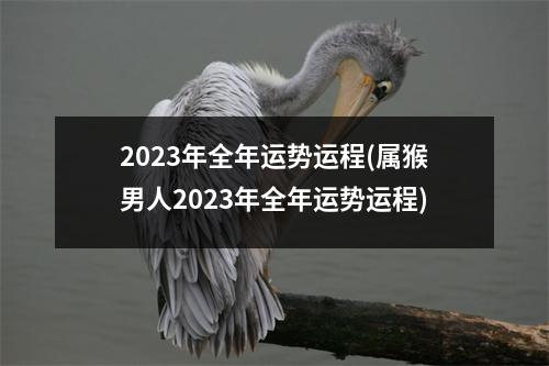 2023年全年运势运程(属猴男人2023年全年运势运程)
