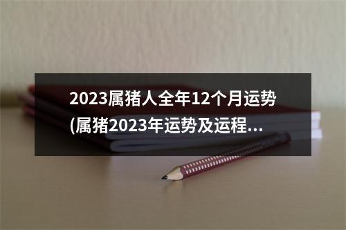 2023属猪人全年12个月运势(属猪2023年运势及运程 2023年属猪人的全年每月运势)