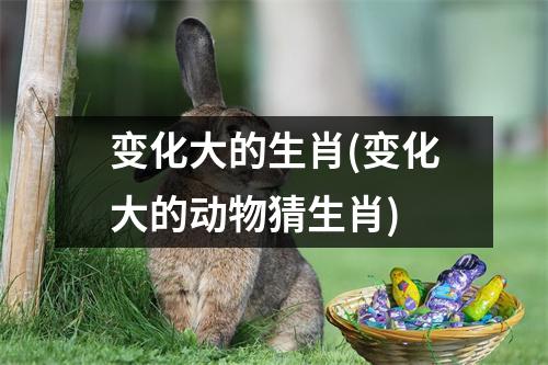 变化大的生肖(变化大的动物猜生肖)