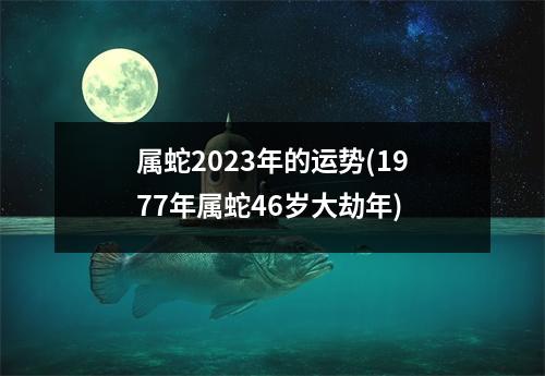 属蛇2023年的运势(1977年属蛇46岁大劫年)