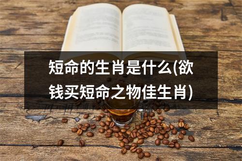 短命的生肖是什么(欲钱买短命之物佳生肖)