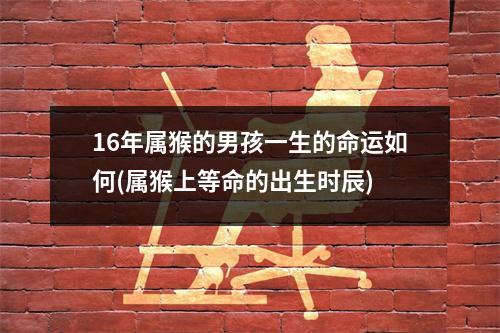 16年属猴的男孩一生的命运如何(属猴上等命的出生时辰)