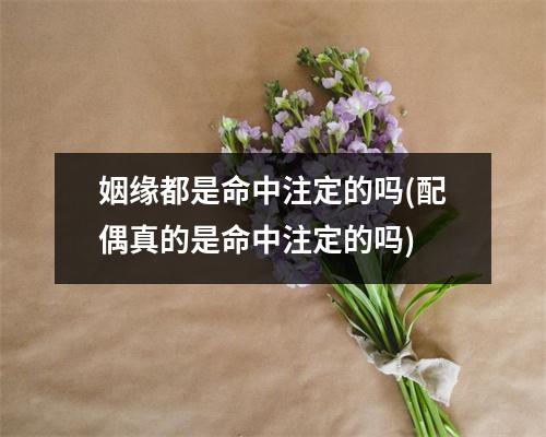 姻缘都是命中注定的吗(配偶真的是命中注定的吗)