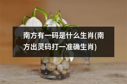 南方有一码是什么生肖(南方出灵码打一准确生肖)