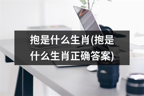 抱是什么生肖(抱是什么生肖正确答案)