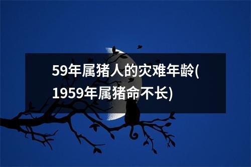 59年属猪人的灾难年龄(1959年属猪命不长)