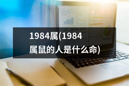 1984属(1984属鼠的人是什么命)