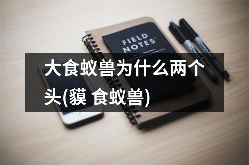 大食蚁兽为什么两个头(貘 食蚁兽)
