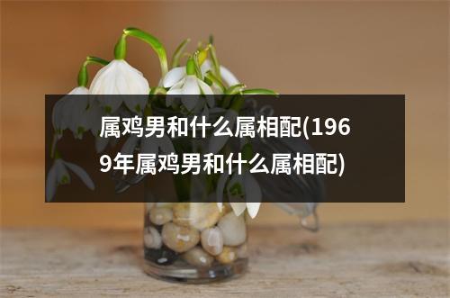 属鸡男和什么属相配(1969年属鸡男和什么属相配)