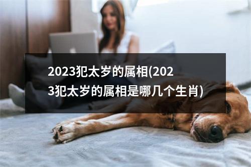 2023犯太岁的属相(2023犯太岁的属相是哪几个生肖)