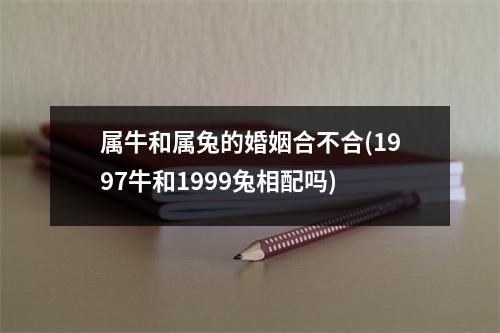 属牛和属兔的婚姻合不合(1997牛和1999兔相配吗)